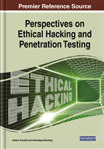 Perspectives on Ethical Hacking and Penetration Testing